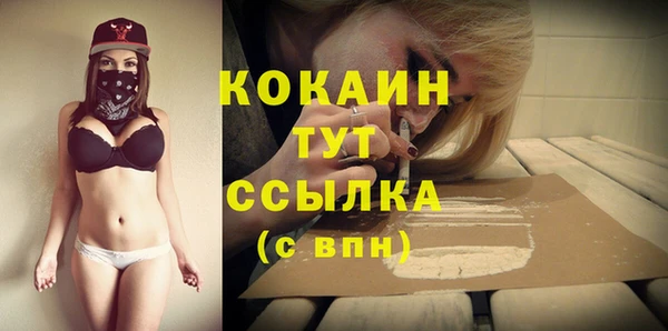 шишки Нязепетровск