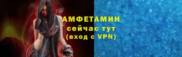 шишки Осинники