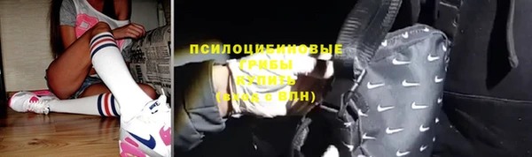 ECSTASY Няндома