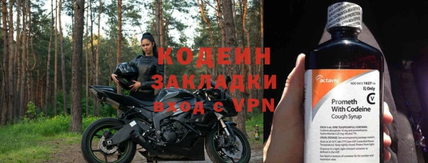 шишки Осинники