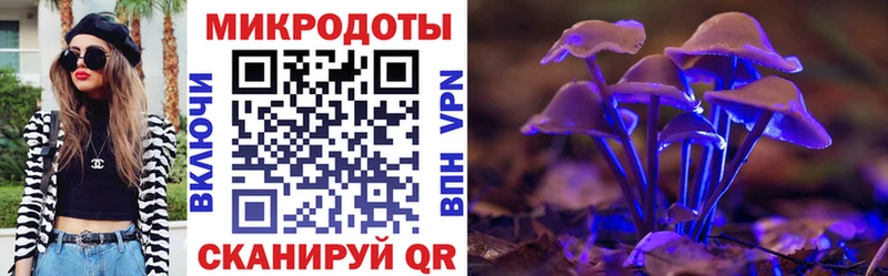 Галлюциногенные грибы мухоморы Палласовка